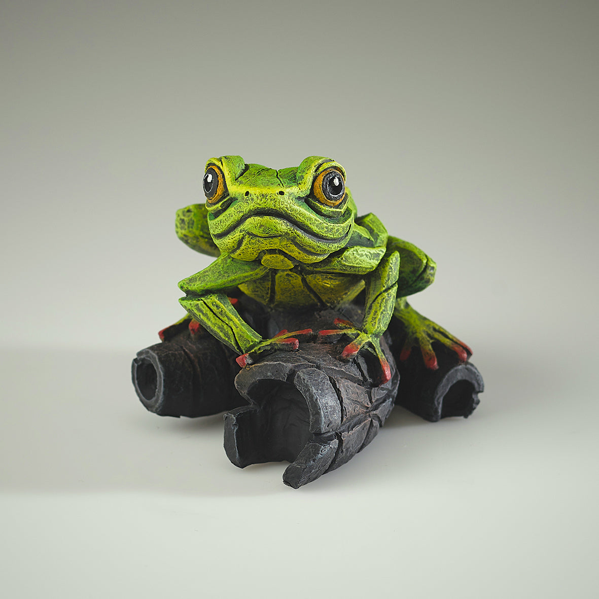 African Tree Frog Green