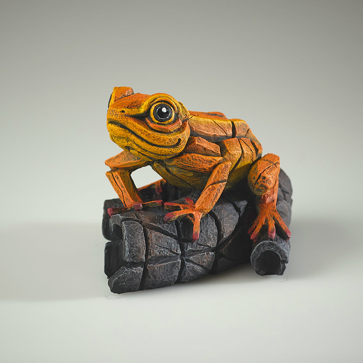 African Tree Frog Orange