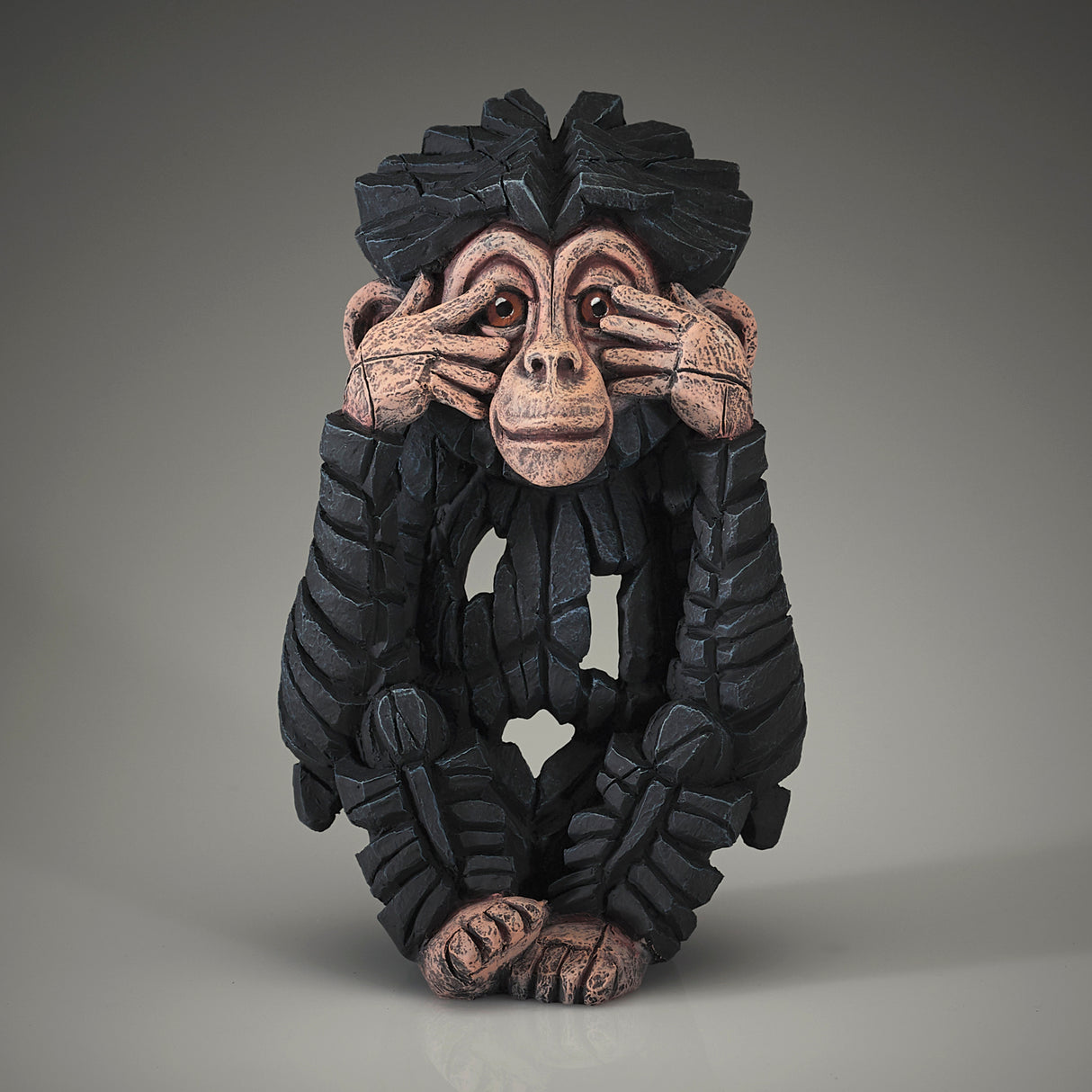 Baby Chimpanzee See No Evil