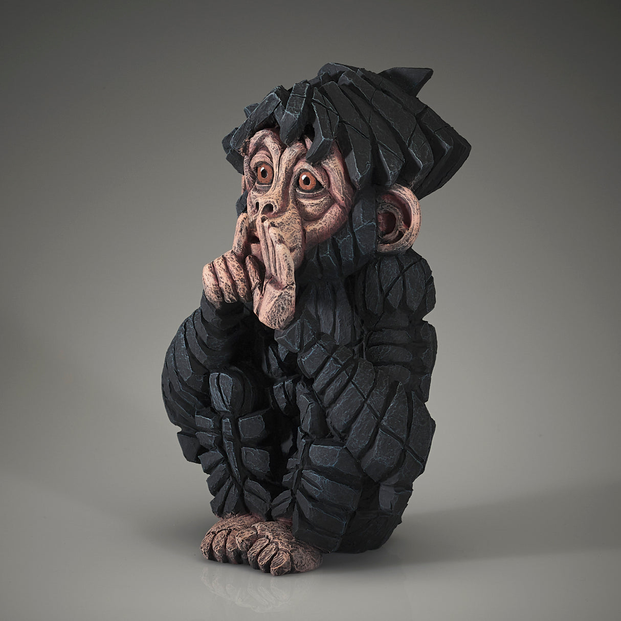 Baby Chimpanzee Speak No Evil