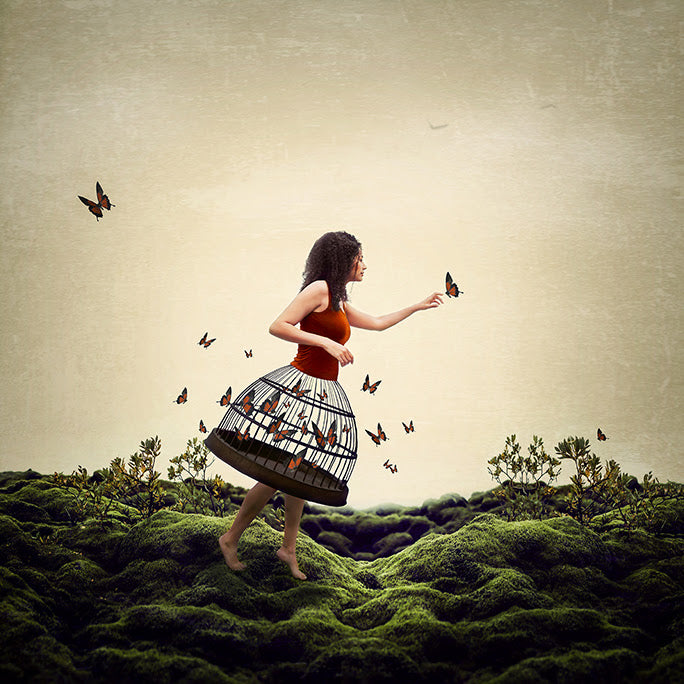 enchanted print by artist michelle mackie