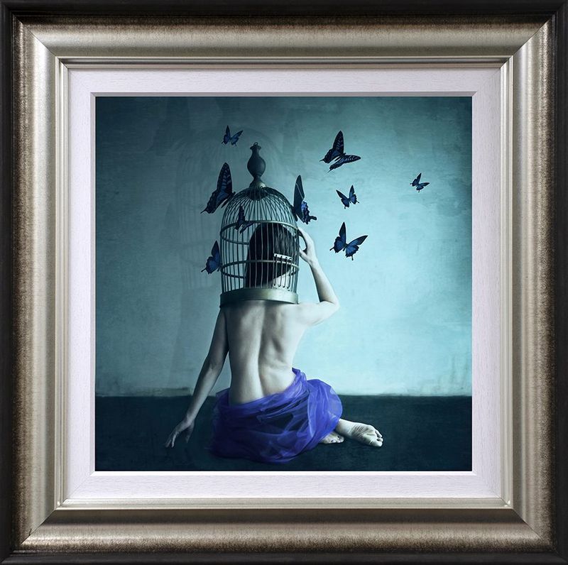 entrapment ii framed print by artist michelle mackie
