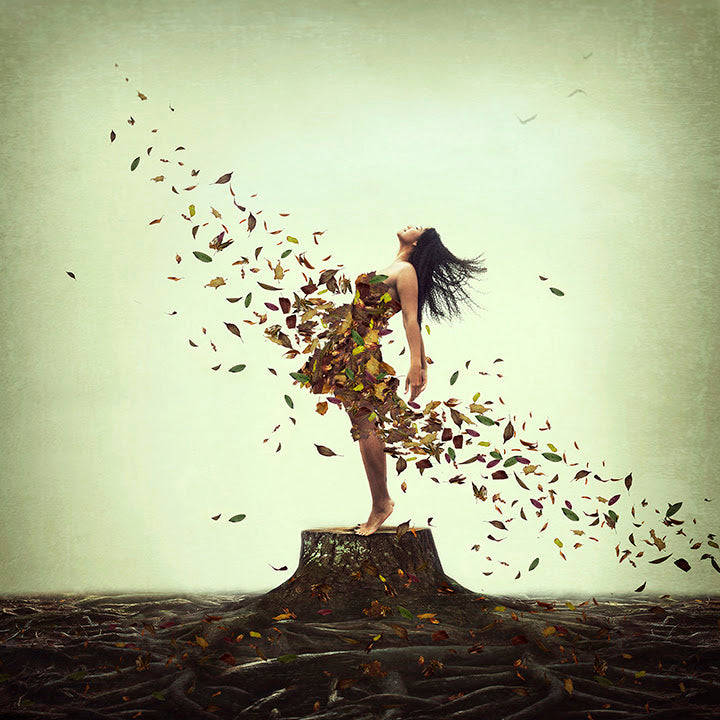 everlasting roots print by artist michelle mackie