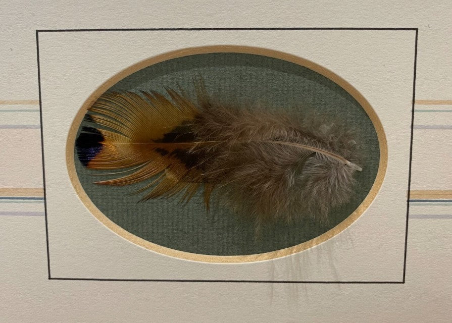 feather detail in oval aperture by artist nigel hemming