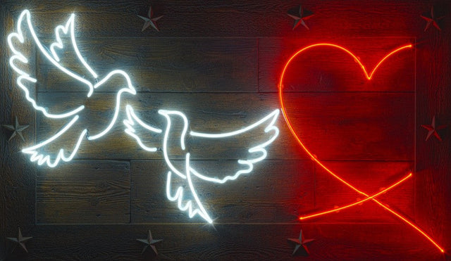 first kiss under the stars framed print by artist courty