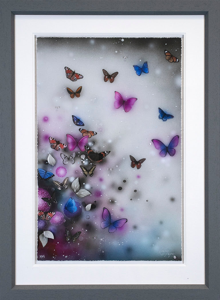 flutter framed print by artist kealey farmer