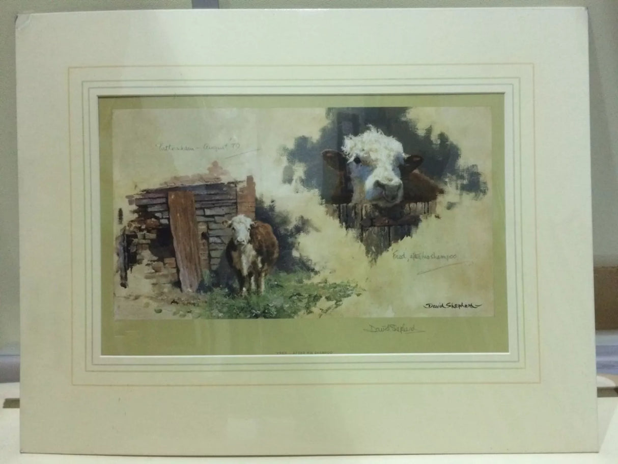 Fred After His Shampoo