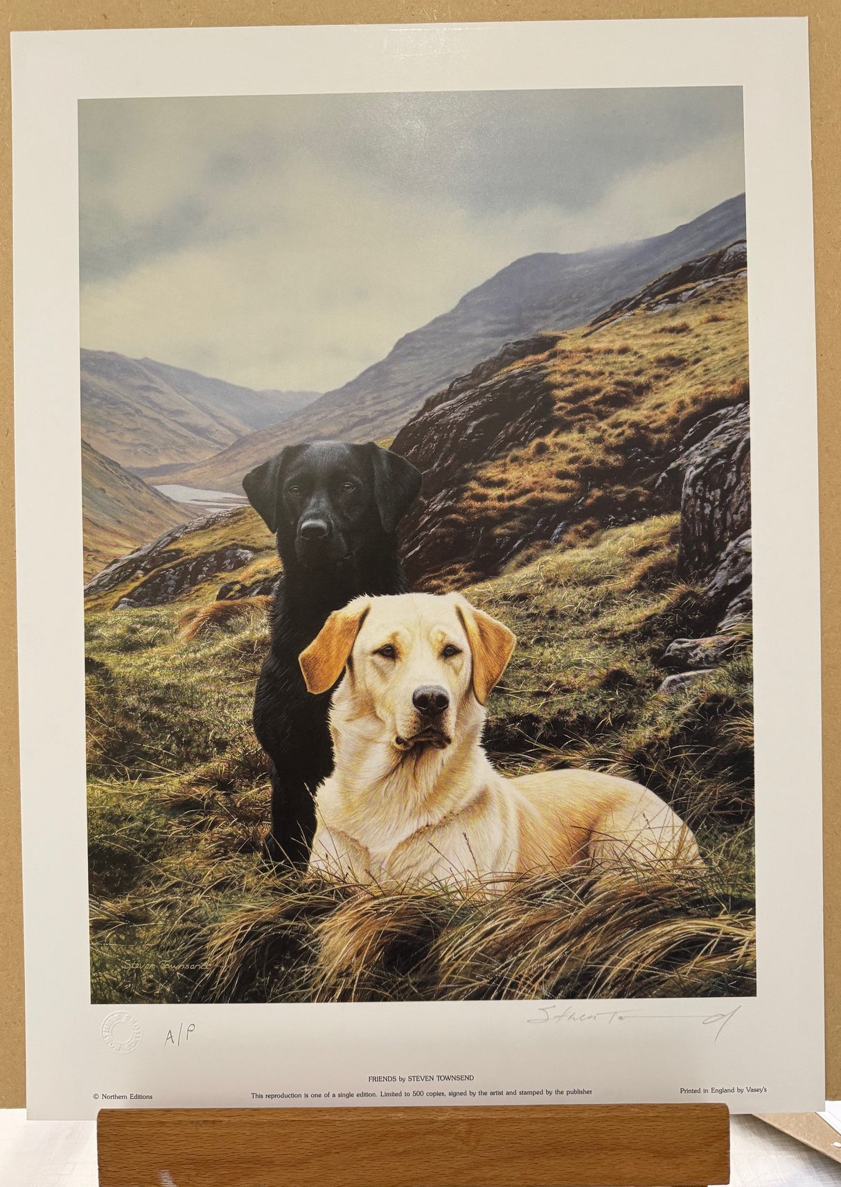 friends artist proof print by artist steven townsend