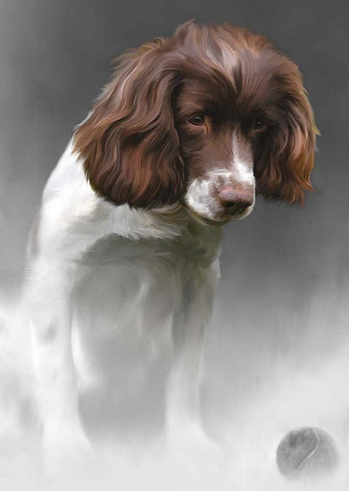 Game Of Throws - Original Edition