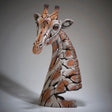 giraffe sculpture bust by artist edge sculpture