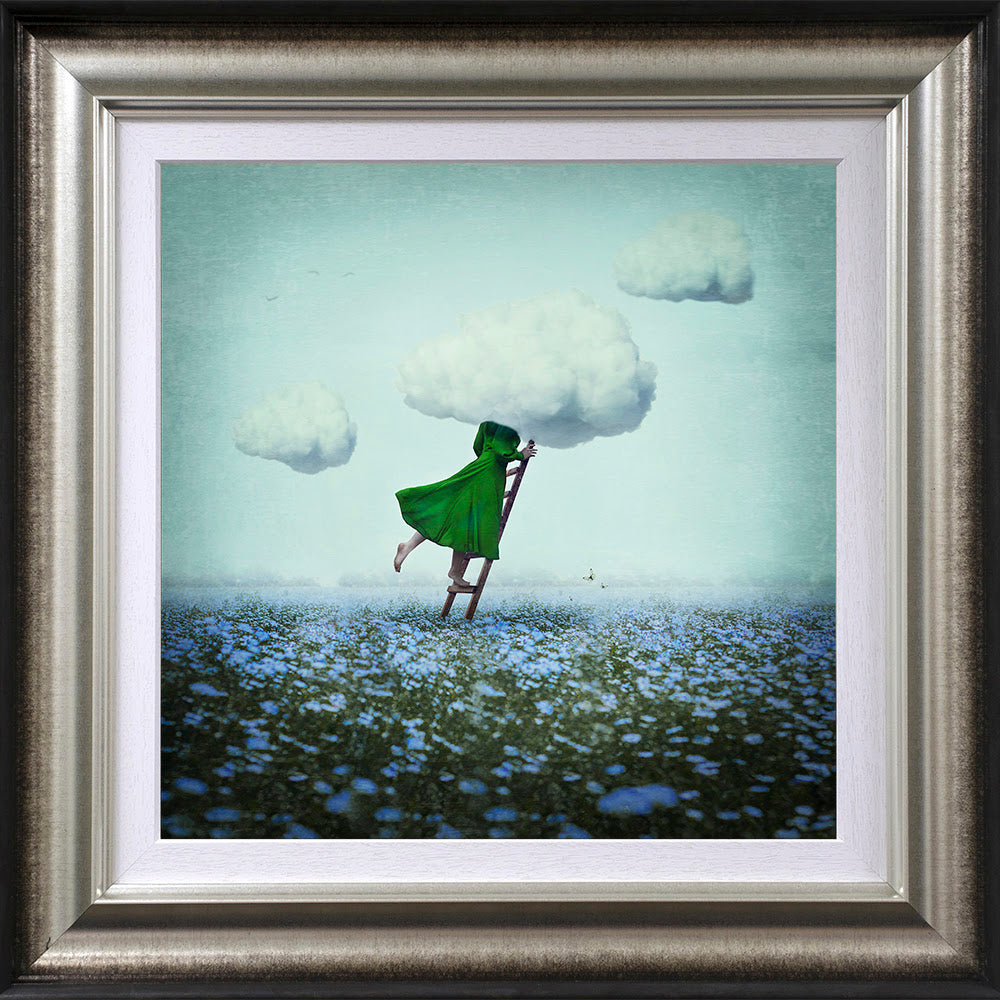 head in the clouds framed print by artist michelle mackie