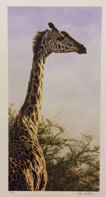 high and mighty print by artist alan hunt