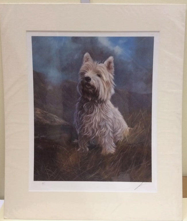 highland glory mounted print by artist john trickett