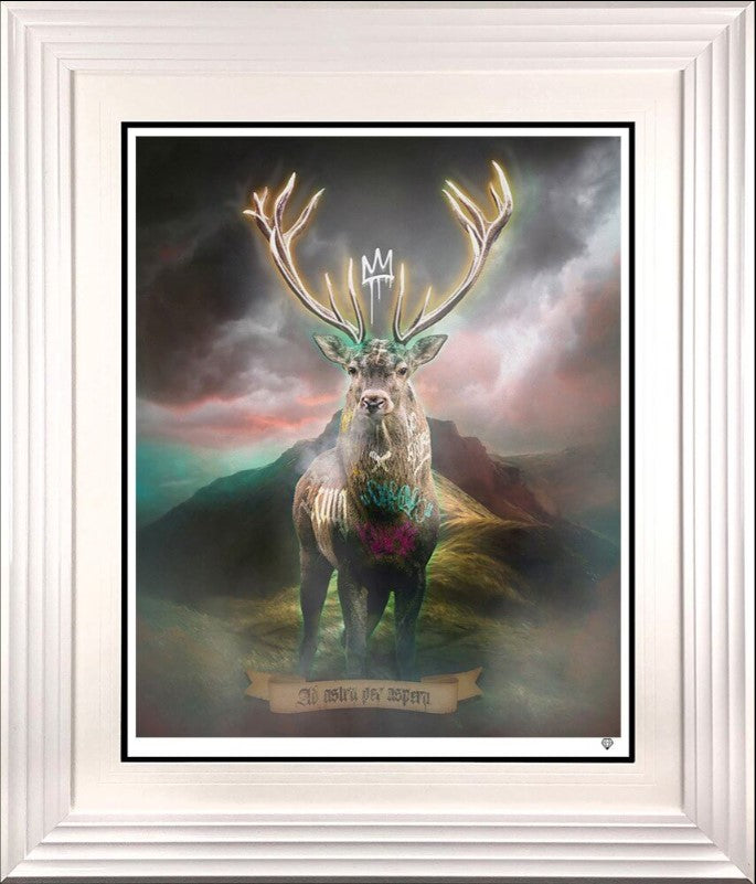 highland hunk gold print framed in white by artist jj adams