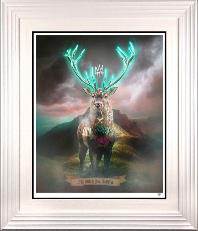 highland hunk turquoise print framed in white by artist jj adams