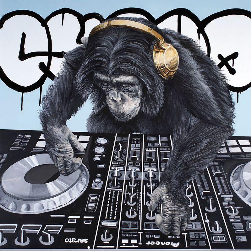 Jungle Nights And Swinging Beats