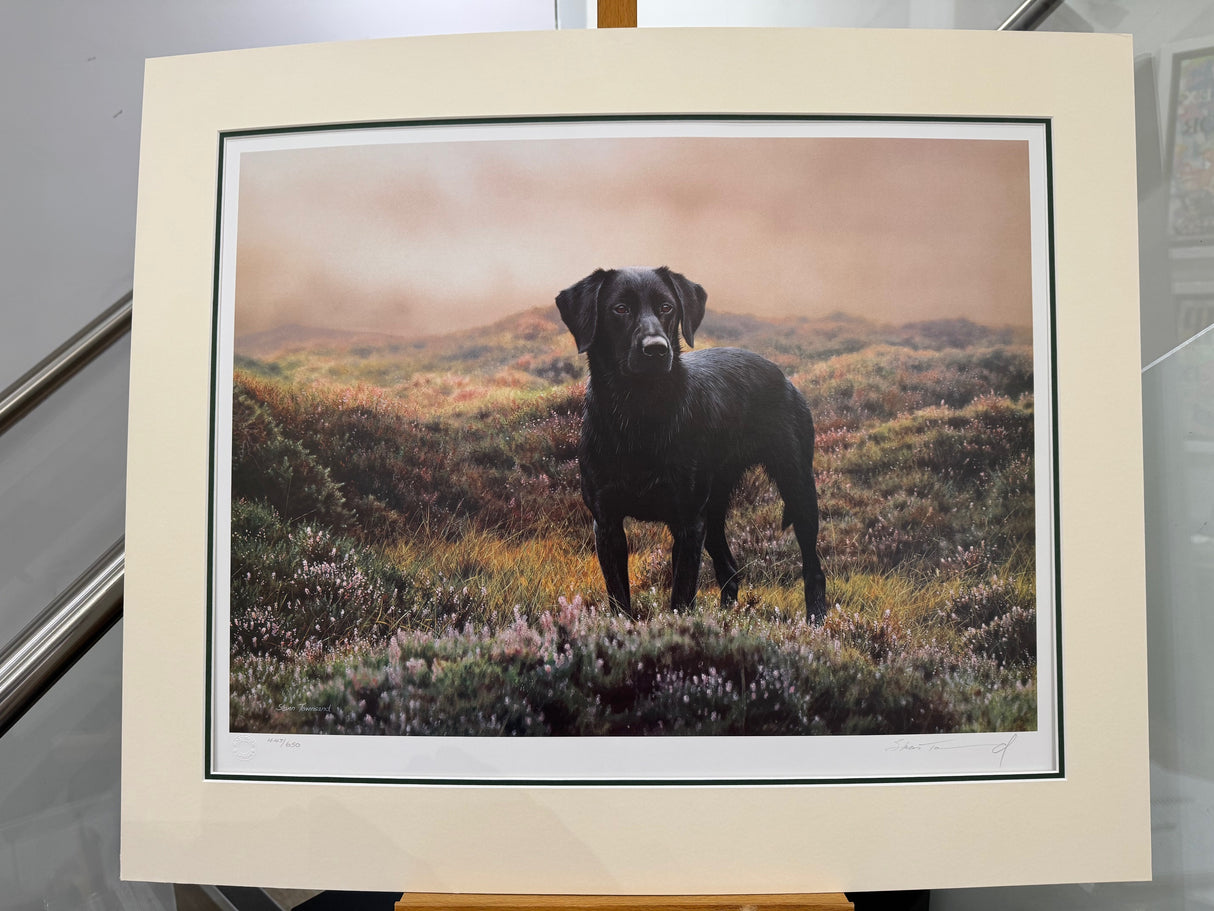 kate mounted print by artist steven townsend