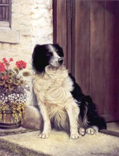 Last Of The Summer Wine