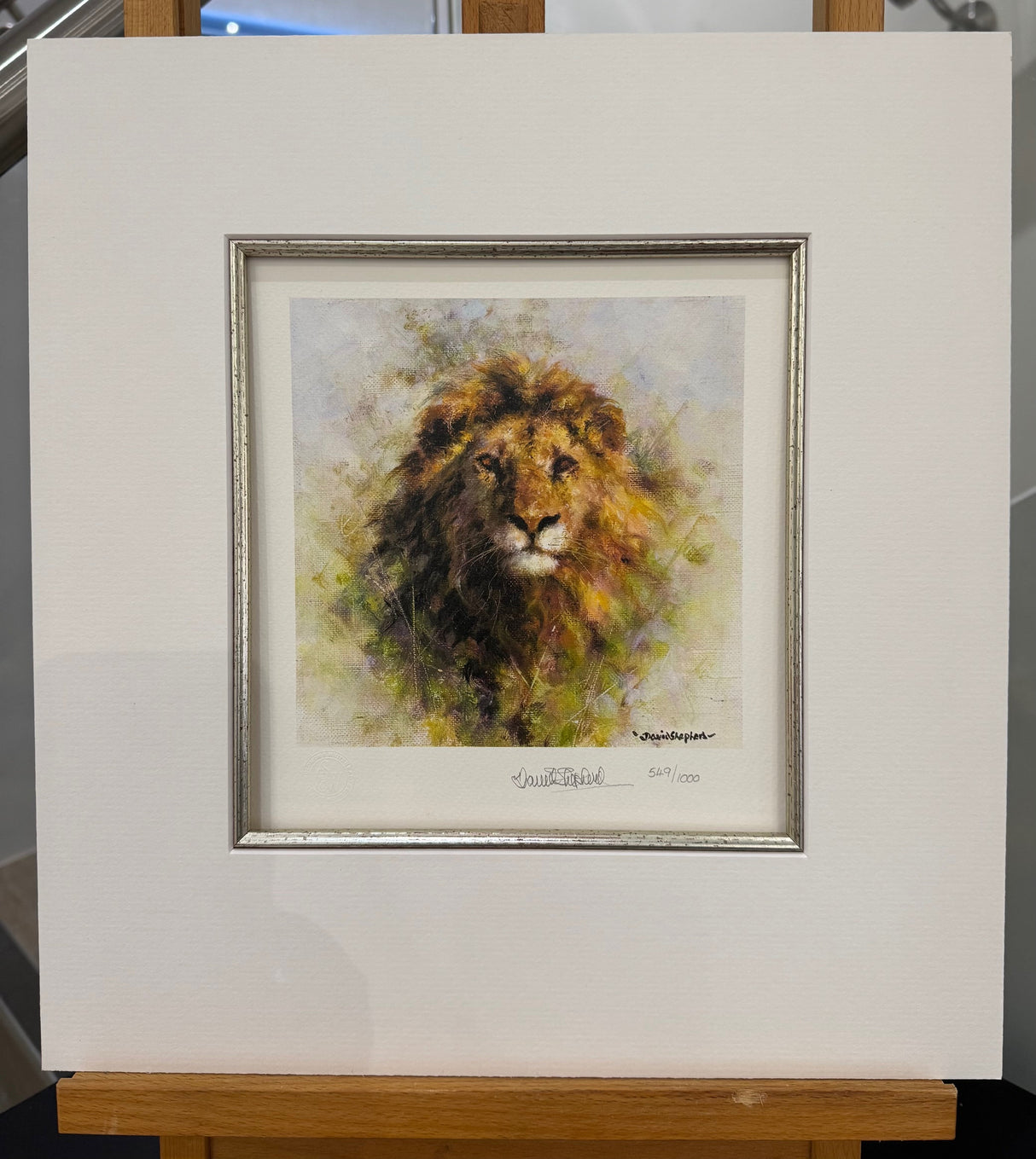 lion the cameo collection wildlife of the world mounted print by artist david shepherd