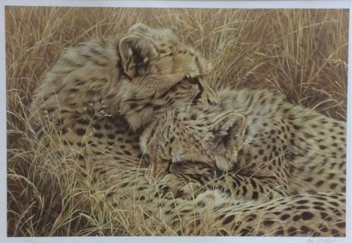 love bites print by artist alan hunt