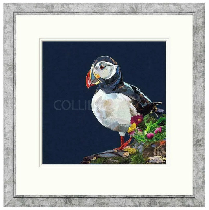 lundy framed print by artist sarah jackson