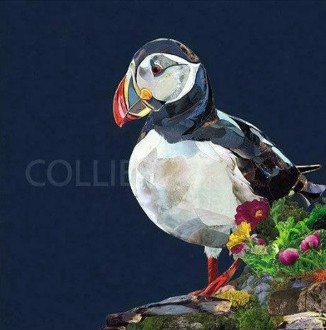 lundy mounted print by artist sarah jackson
