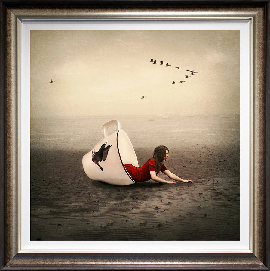 morning flight deluxe framed print by artist michelle mackie