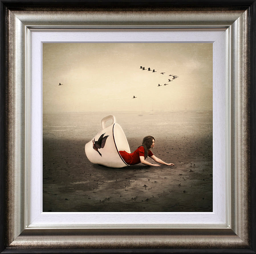 morning flight framed print by artist michelle mackie