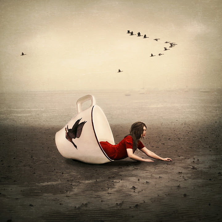 morning flight print by artist michelle mackie