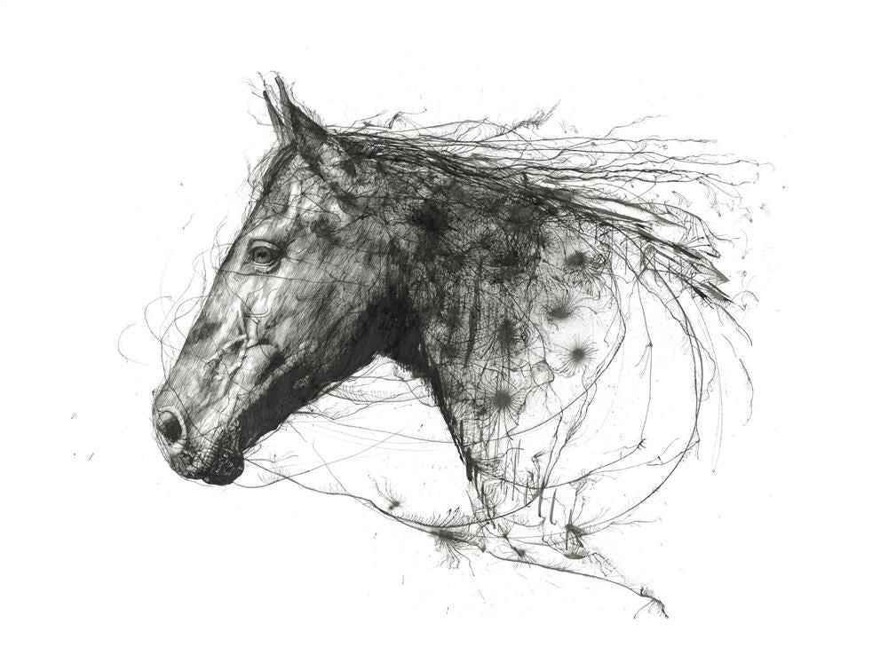 natural grace mounted print by artist scott tetlow