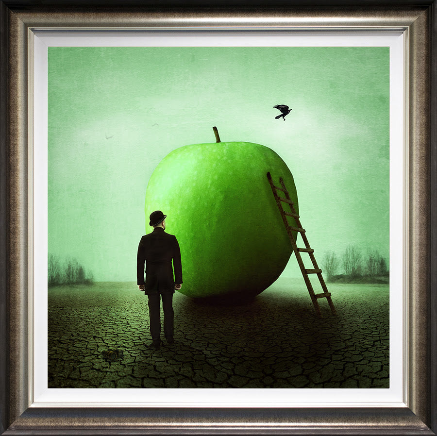 obscured deluxe framed print by artist michelle mackie