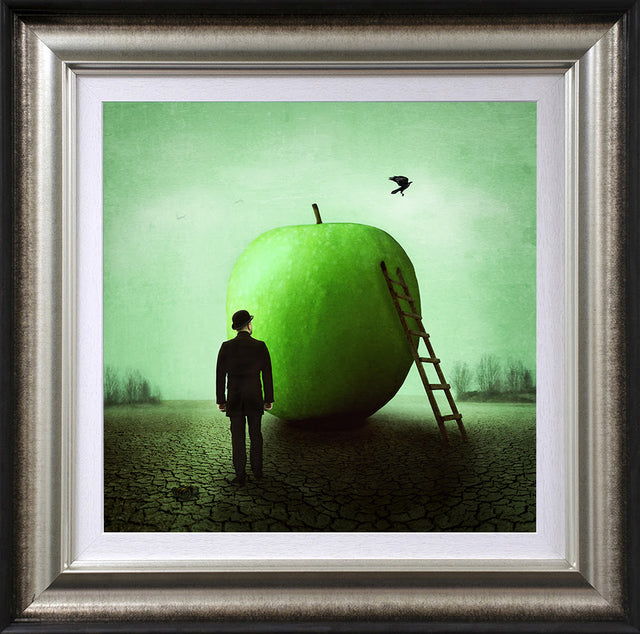 obscured framed print by artist michelle mackie