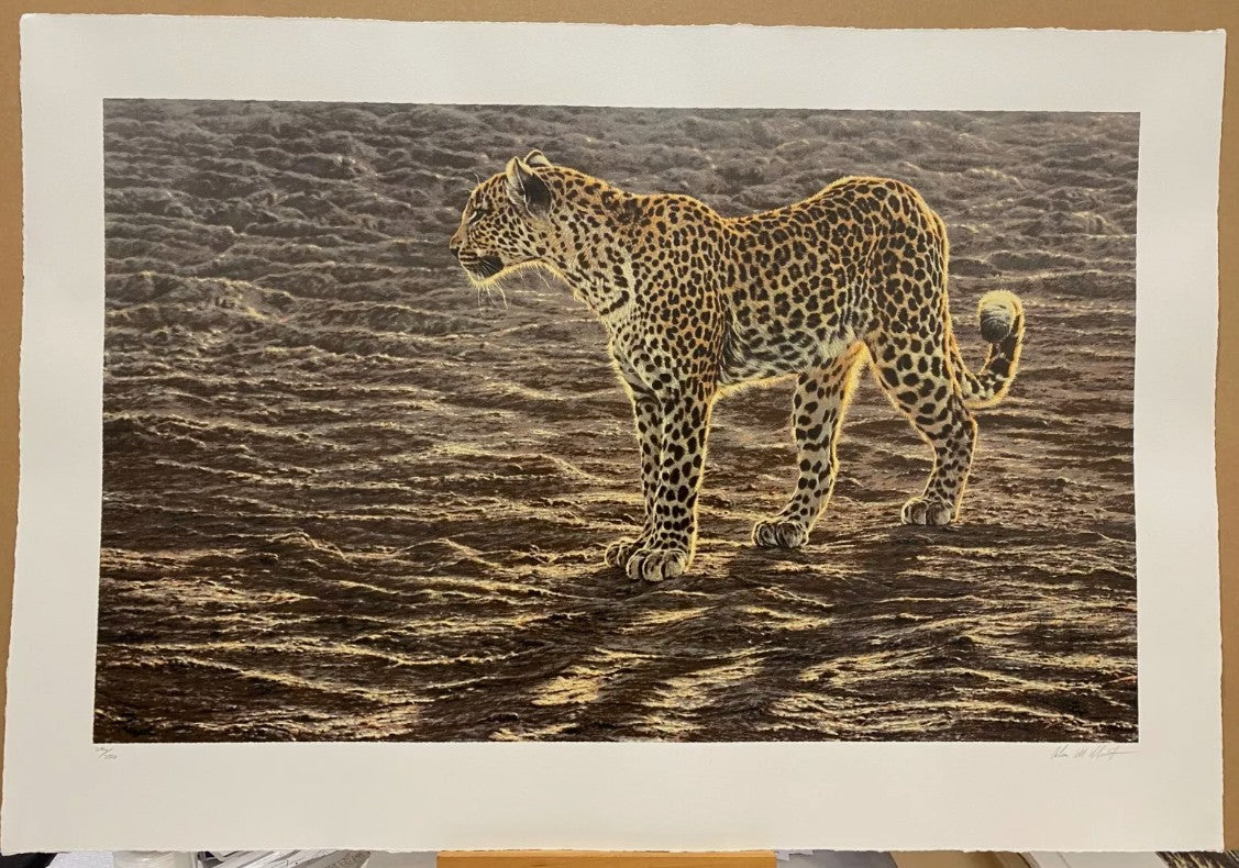 okavango apparition print by artist alan hunt