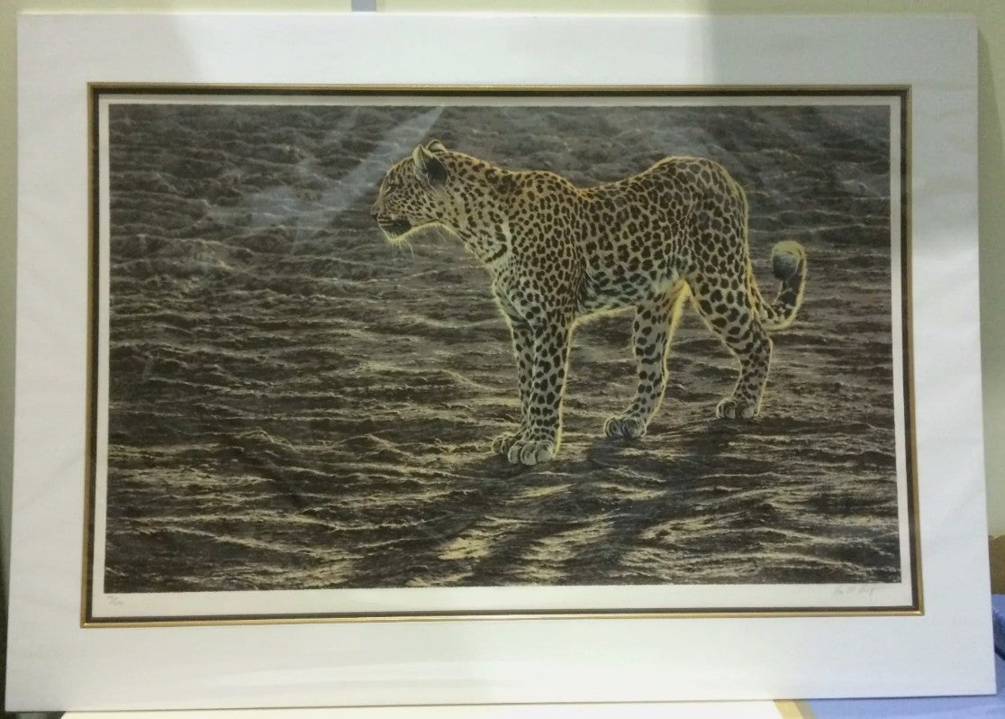 okavango apperition mounted print by artist alan hunt
