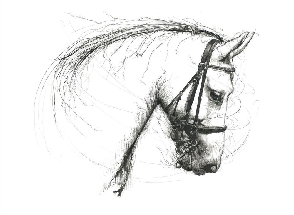 quiet power mounted print by artist scott tetlow