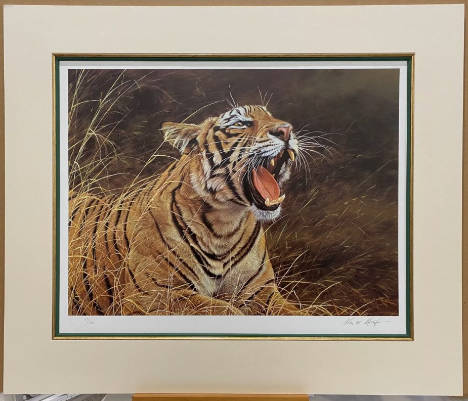 roar of the jungle mounted print by artist alan hunt