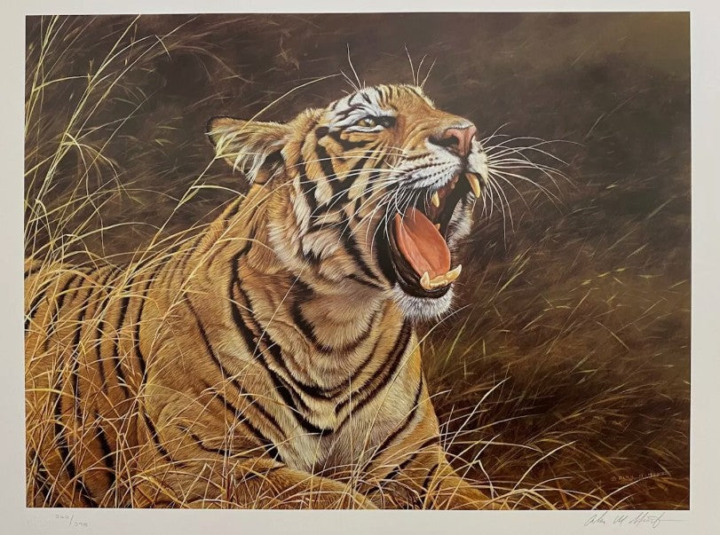 roar of the jungle print by artist alan hunt