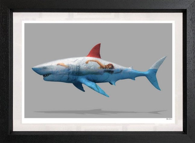 Safe To Swim (Small)