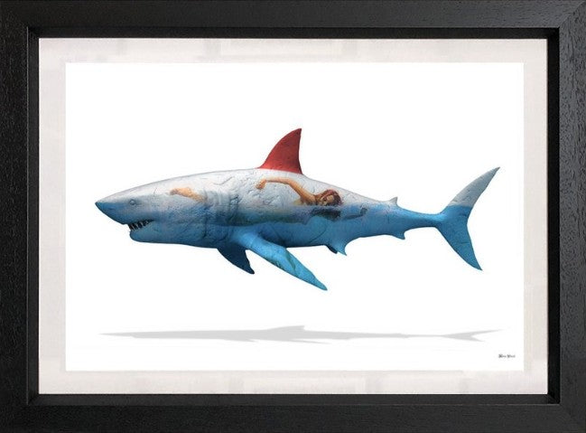 Safe To Swim (Small)