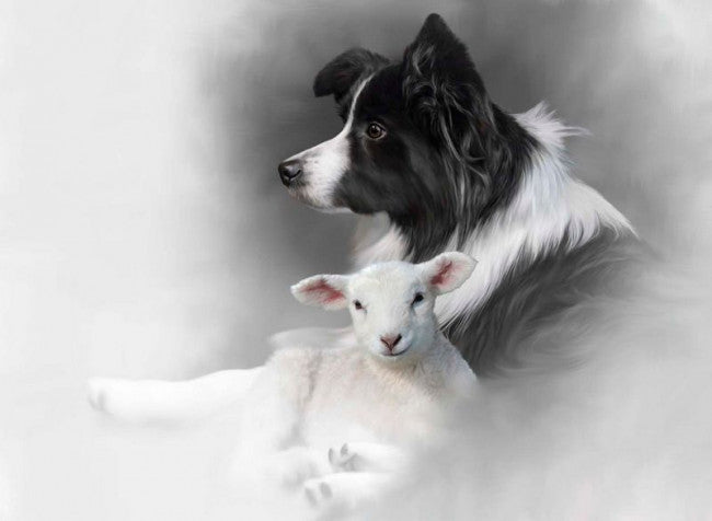 Shepherds Delight - Original Edition