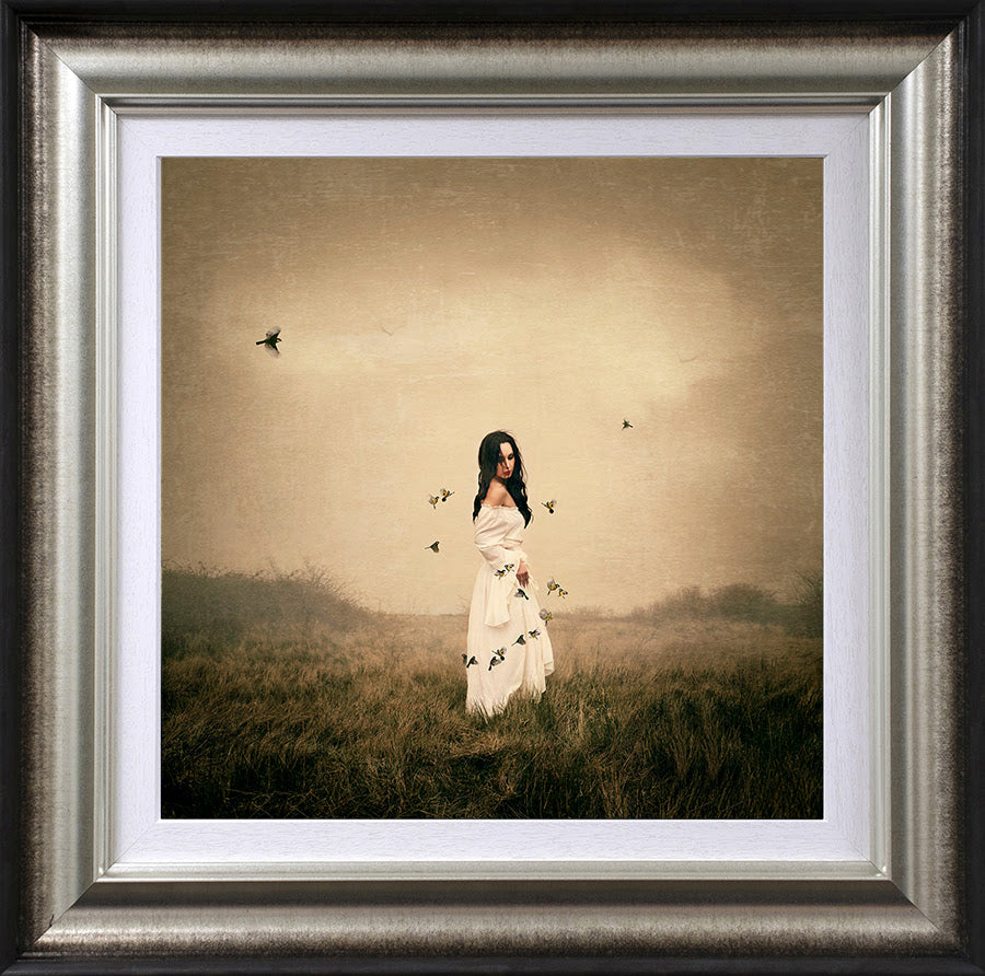 songbird framed print by artist michelle mackie