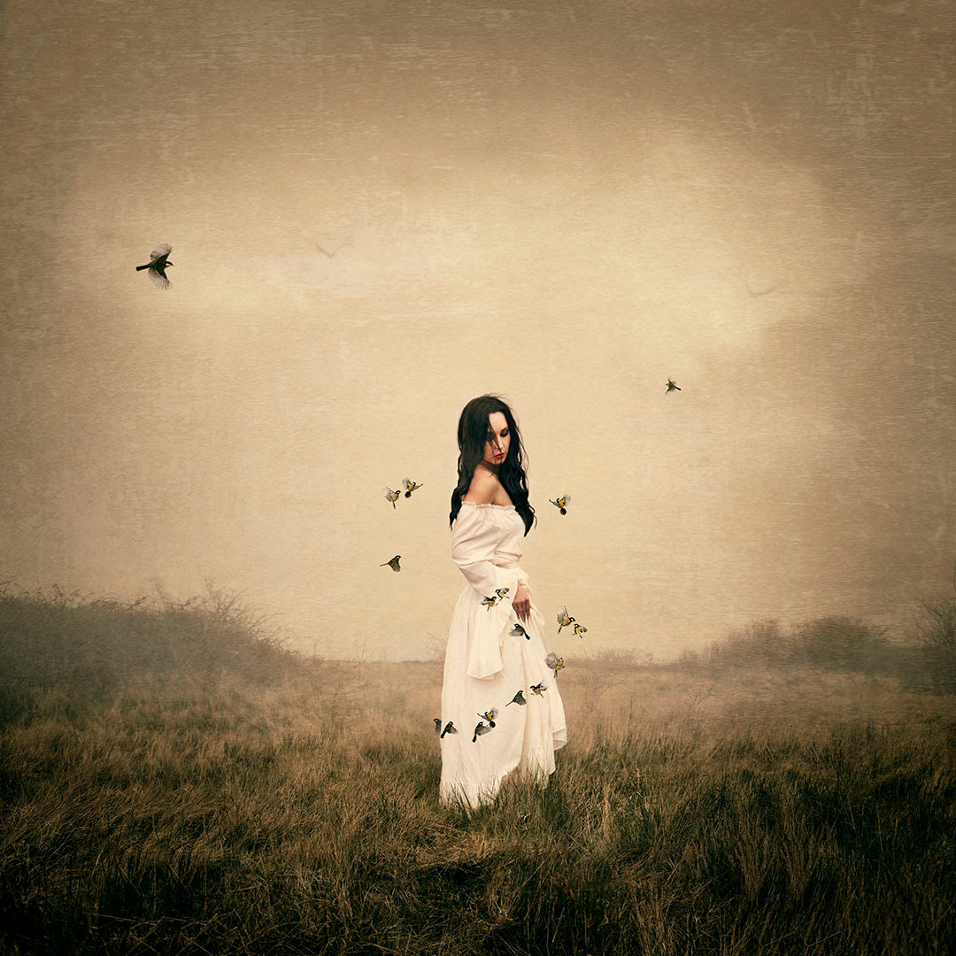 songbird print by artist michelle mackie