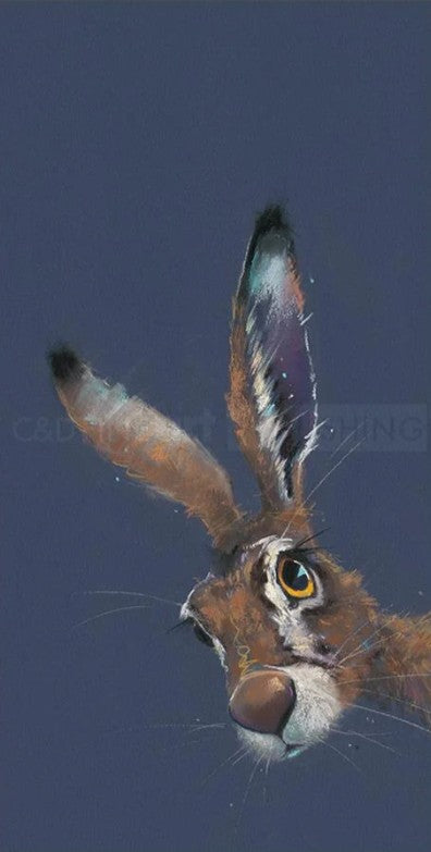 spellbound mounted print by artist nicky litchfield