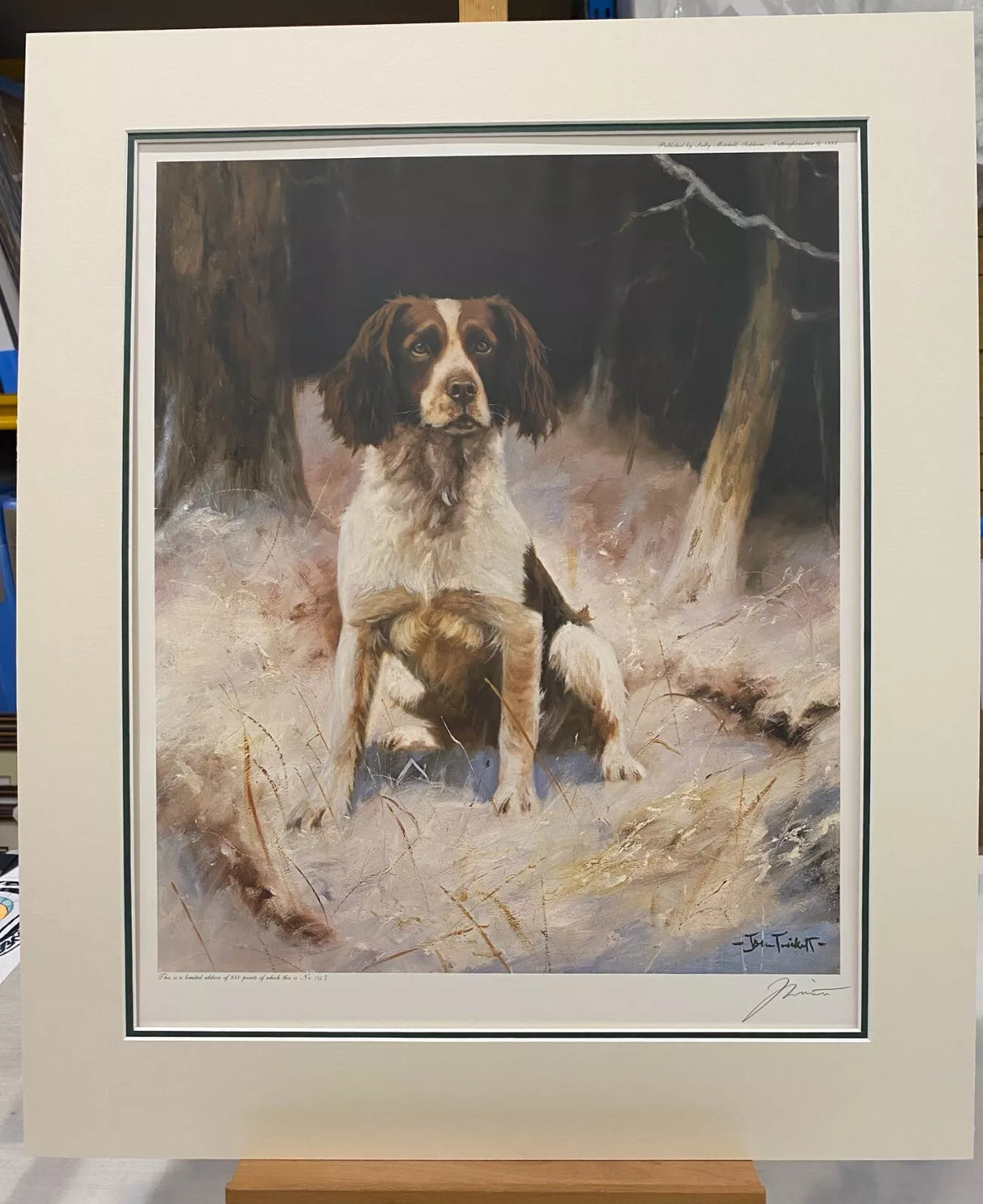 springer spaniel mounted print by artist john trickett