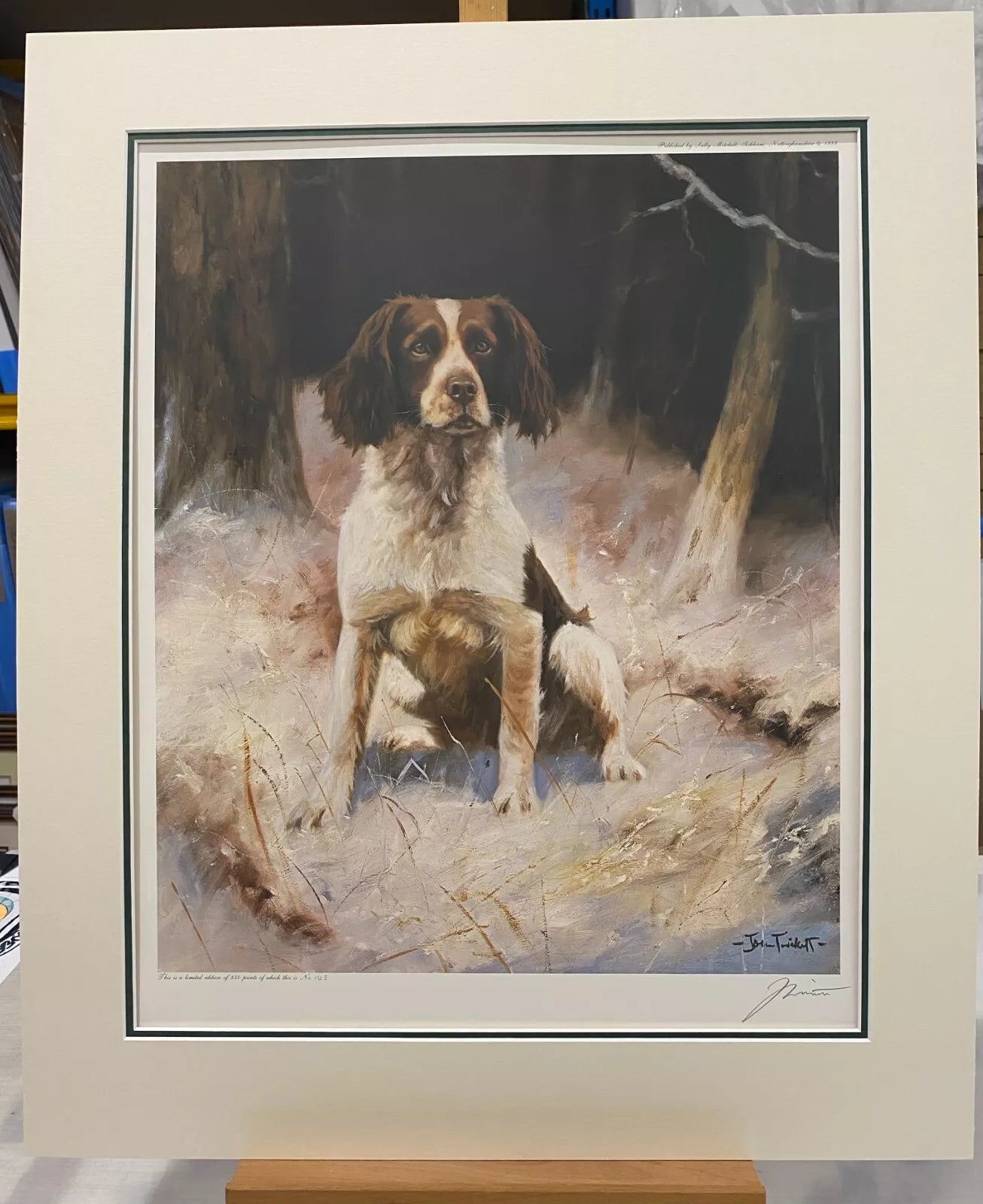 springer spaniel mounted print by artist john trickett