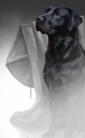 The Fisherman's Friend - Original Edition