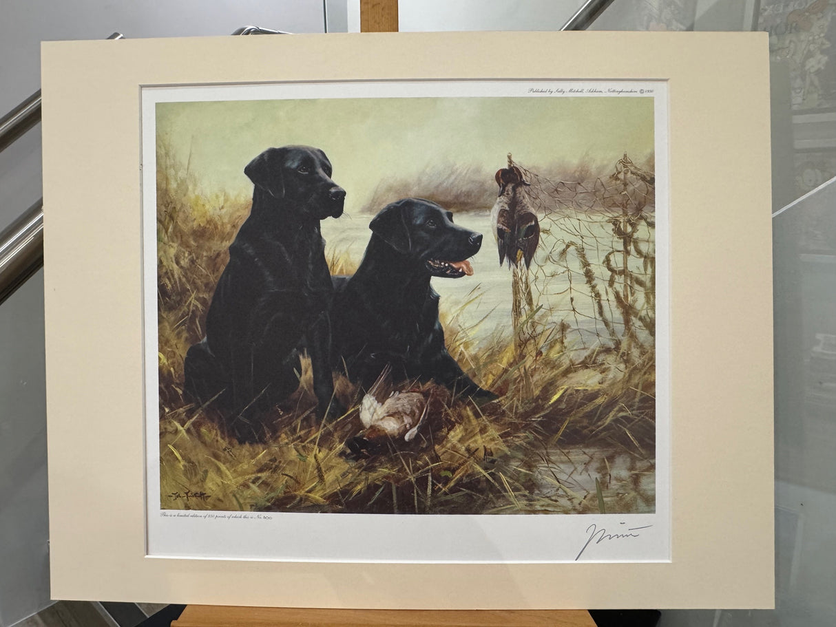 two black labradors having a rest mounted print by artist john trickett