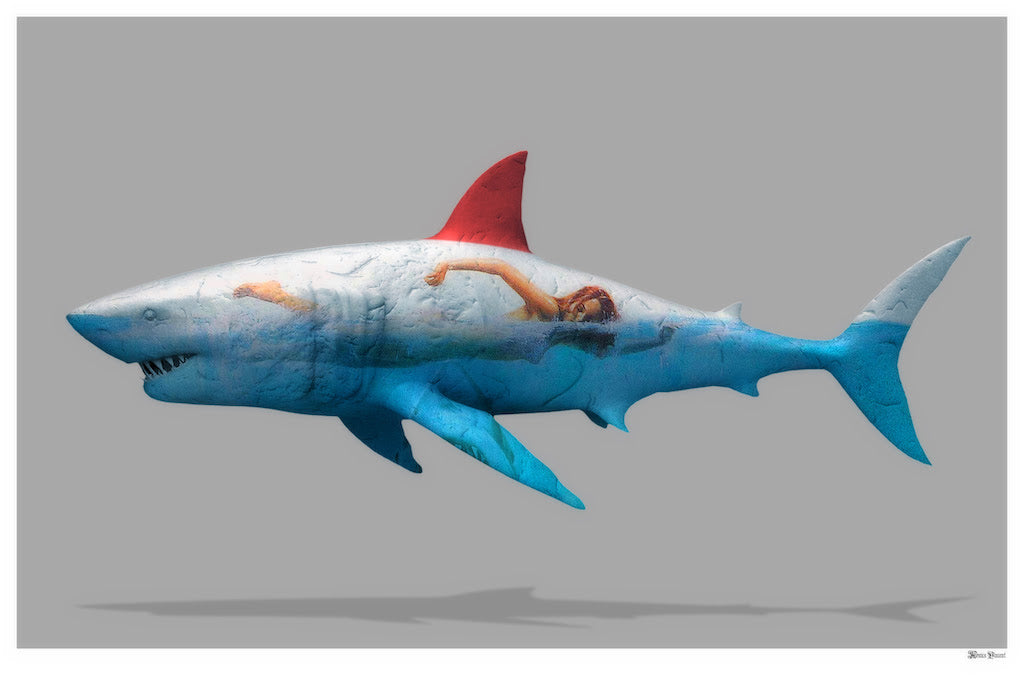 Safe To Swim (Small)