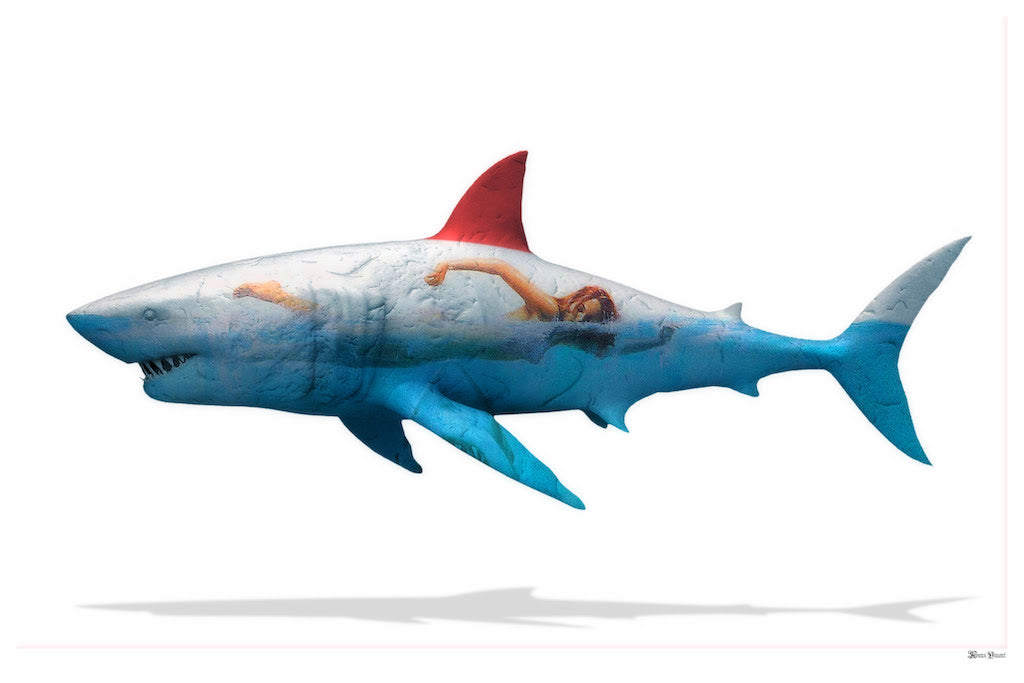 Safe To Swim (Small)