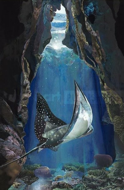 utopia mounted print by artist sarah jackson